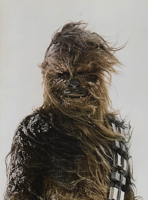 Photo:  Chewbacca on Hoth